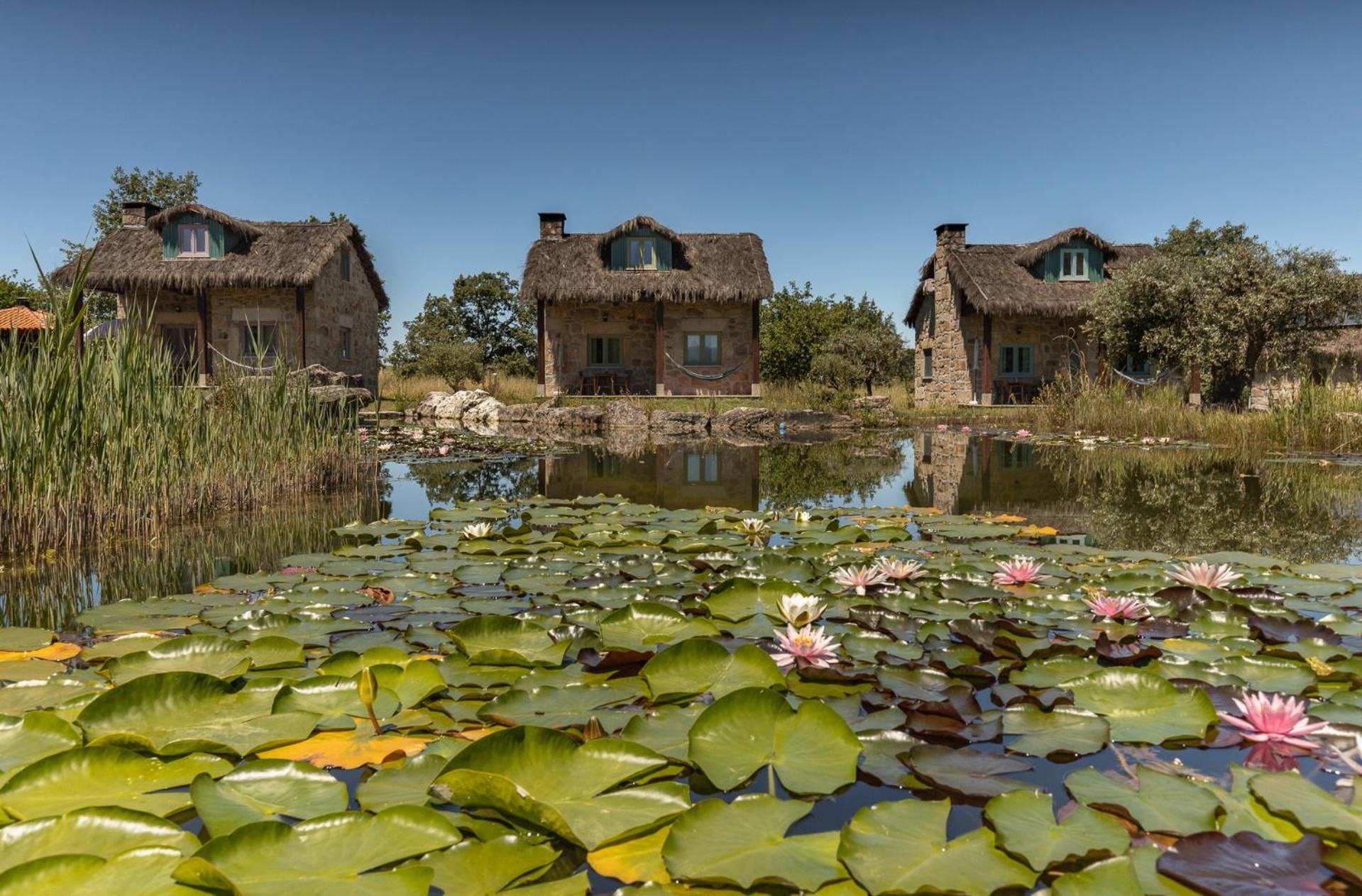 Maison d'hôtes Chao Do Rio - Turismo De Aldeia à Seia Extérieur photo