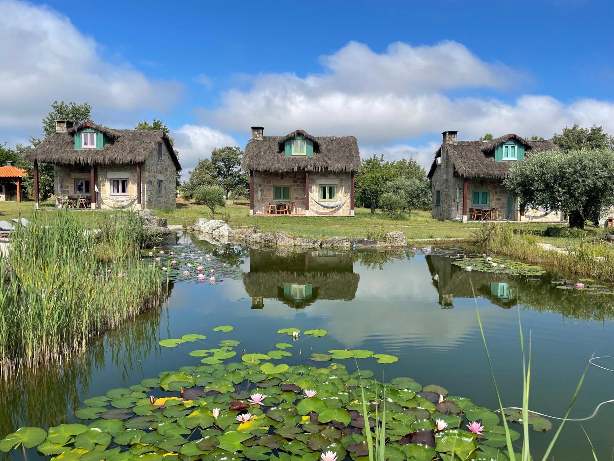 Maison d'hôtes Chao Do Rio - Turismo De Aldeia à Seia Extérieur photo