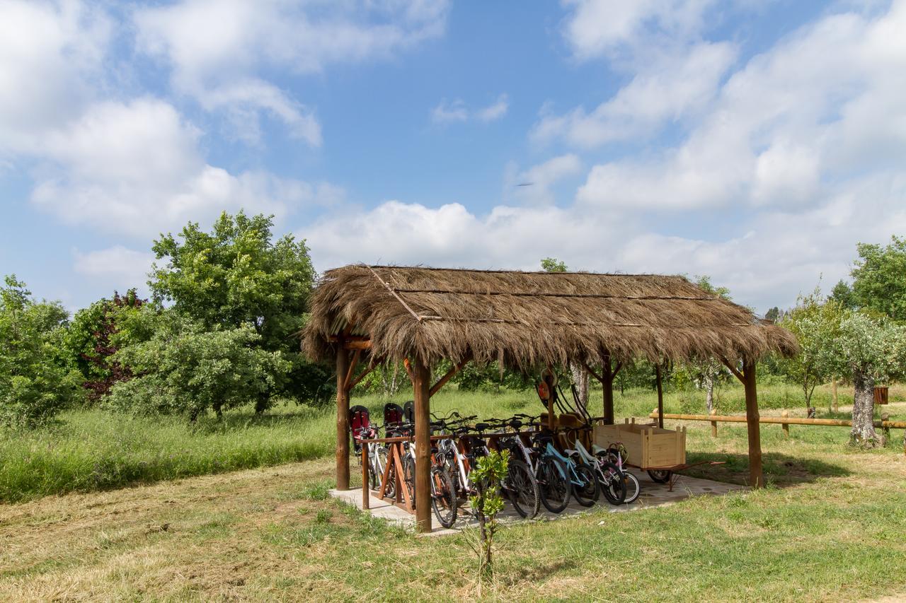 Maison d'hôtes Chao Do Rio - Turismo De Aldeia à Seia Extérieur photo