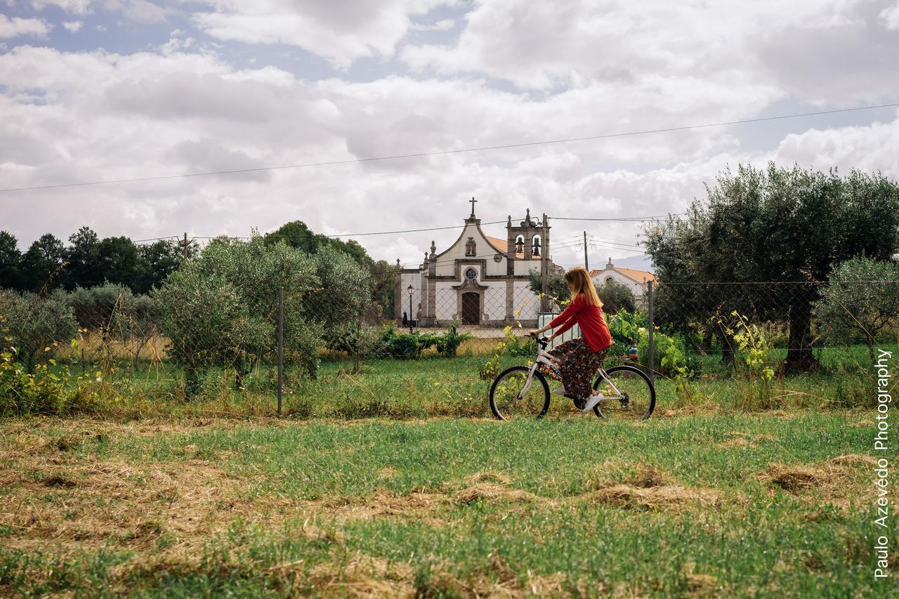 Maison d'hôtes Chao Do Rio - Turismo De Aldeia à Seia Extérieur photo