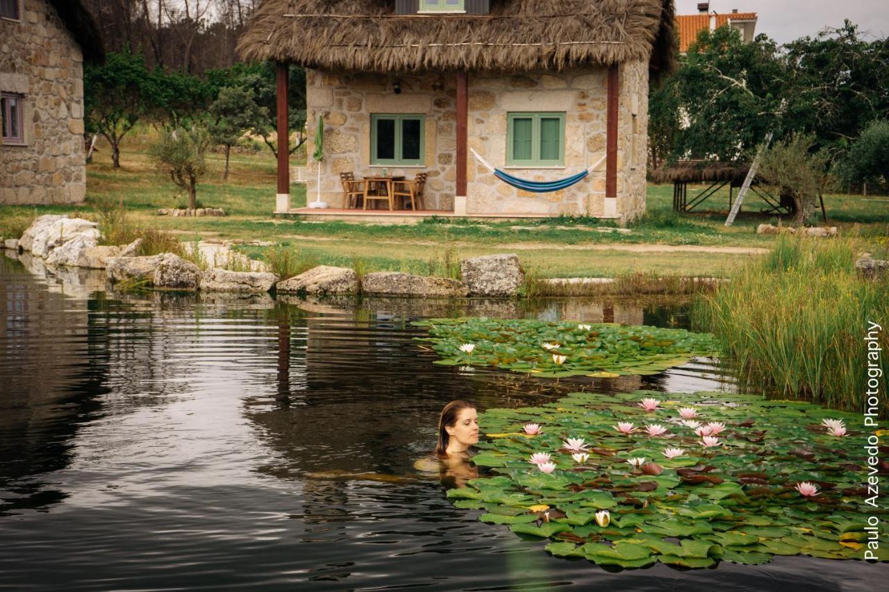 Maison d'hôtes Chao Do Rio - Turismo De Aldeia à Seia Extérieur photo